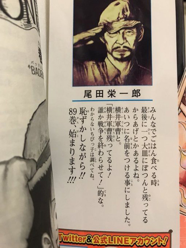 One Piece Volume 89 Piada Shoichi Yokoi