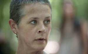 TWD S2 Melissa McBride Interview 325