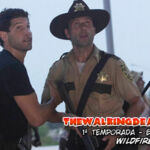 The Walking Dead 1ª Temporada Episódio 5: Wildfire
