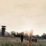 Daryl 6