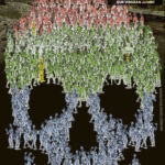 Todas as mortes de zumbis de The Walking Dead