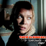 The Walking Dead 3ª Temporada Episódio 14 (S03E14): Prey