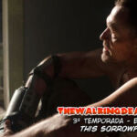 the walking dead s03e151