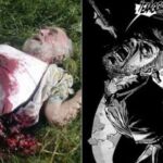 Comparação The Walking Dead HQ X TV: 2ª Temporada, Episódio 11 (S02E11)