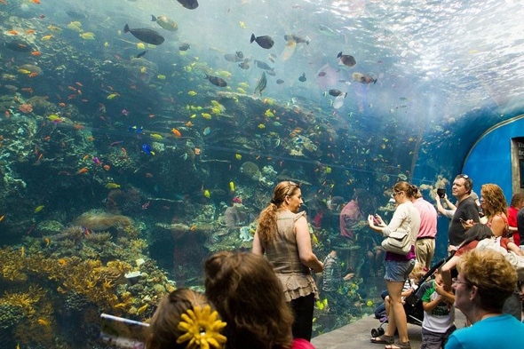 maior-aquario-do-mundo-03