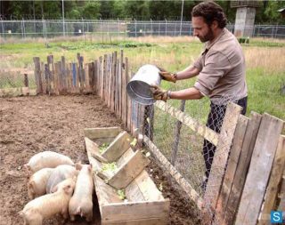 The walking dead 4ª temporada: novas fotos das cenas dos episódios