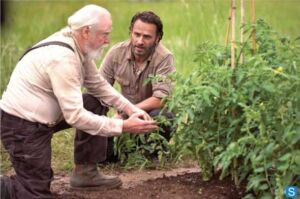 The Walking Dead 4ª Temporada: Novas fotos das cenas dos episódios