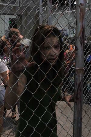 The Walking Dead na Comic-Con 2013
