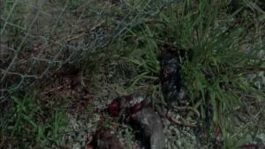 The Walking Dead 4 Temporada Trailer 016a