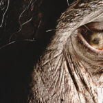 The Walking Dead 4ª temporada: 30 dias