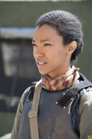 The Walking Dead 4ª Temporada