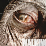 The Walking Dead 4ª temporada