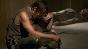 daryl dixon 2
