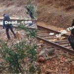 the walking dead 4 temporada spoiler chuck