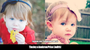 the walking dead judith atrizes