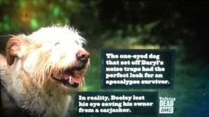 the walking dead dooley