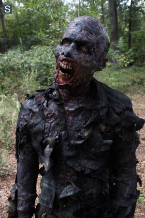 Zumbi Queimado do 14º episódio da 4ª Temporada de The Walking Dead.