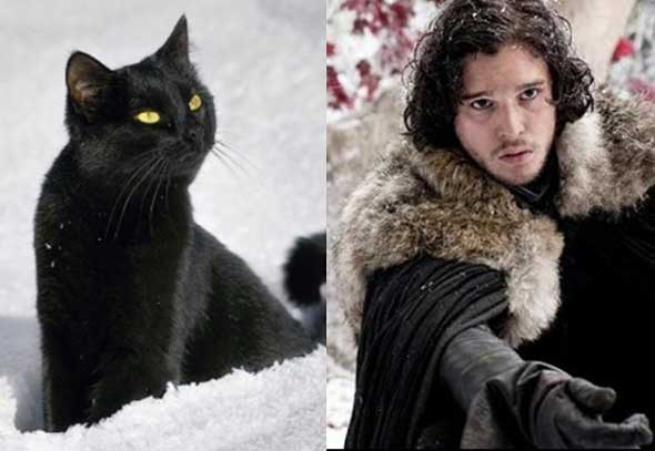 18-gatos-personagens-game-of-thrones-7-jon-snow