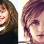 atores harry potter agora