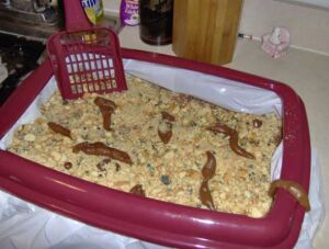 comidinhas macabras 4