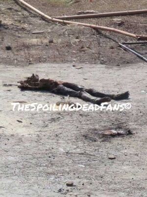 the walking dead 5 temporada filmagens explosões em terminus 2