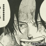 Governo japonês pretende eliminar pirataria de animes e mangás