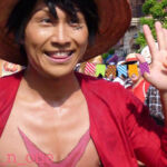 One Piece Premier Show 2014 Water Battle Luffy
