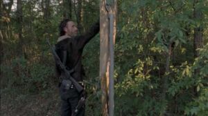 the walking dead 5 temporada trailer 14