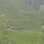 Game of Thrones 5 Temporada Filmagens Irlanda do Norte Cavaleiros do Vale 3