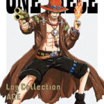 One Piece Log Collection Ace