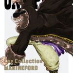 One Piece Log Collection Marineford