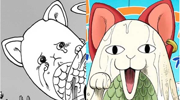 one-piece-gato-marinho