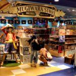Mugiwara Store