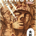 Naruto 700 Capa One Piece