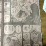 One Piece 766 Scans 10