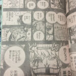 One Piece 766 Scans 17