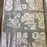 One Piece Cap%C3%ADtulo 767 Spoilers 7