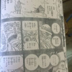 One Piece Capítulo 767 Spoilers 12