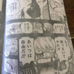One Piece Capítulo 767 Spoilers 14