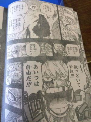 One Piece Capítulo 767 Spoilers 14