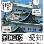 One Piece OPJ47 Cruise Aichi Momonosuke