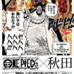One Piece OPJ47 Cruise Akita Barba Negra