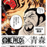 One Piece OPJ47 Cruise Aomori Fujitora