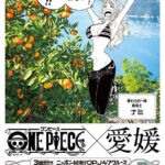 One Piece OPJ47 Cruise Ehime Nami