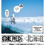 One Piece OPJ47 Cruise Hokkaido Aokiji