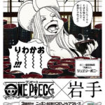 One Piece OPJ47 Cruise Iwate Bonney