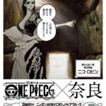 One Piece OPJ47 Cruise Nara Robin