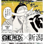 One Piece OPJ47 Cruise Niigata Barba Branca