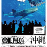 One Piece OPJ47 Cruise Okinawa Jinbe