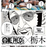 One Piece OPJ47 Cruise Tochigi Kizaru